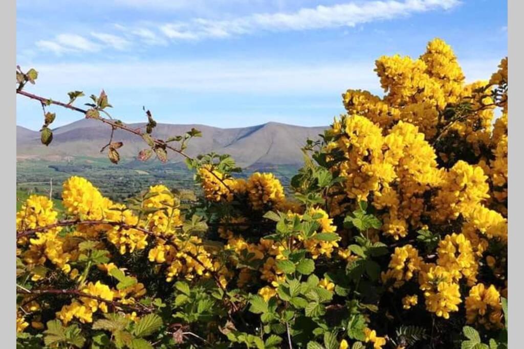 Corderry Farmhouse, Idyllic Cottage Amid 250 Acres Lisvernane ภายนอก รูปภาพ