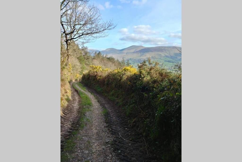 Corderry Farmhouse, Idyllic Cottage Amid 250 Acres Lisvernane ภายนอก รูปภาพ