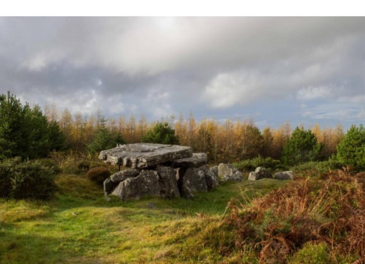 Corderry Farmhouse, Idyllic Cottage Amid 250 Acres Lisvernane ภายนอก รูปภาพ
